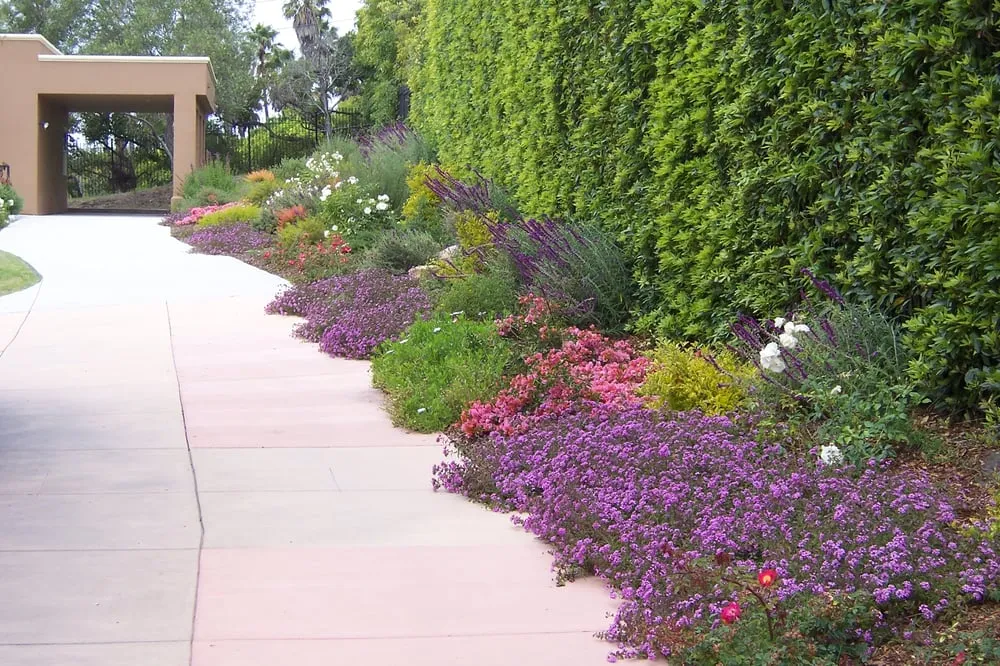 Professional landscaping services in Dunsmuir, CA by Camelot Landscaping