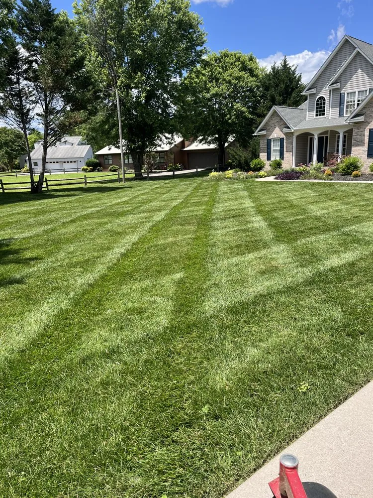 Reliable landscape design for outdoor upgrades in Powell, TN by Cameron Bryson Landscaping