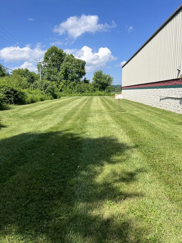 Expert yard cleanup service for outdoor upgrades in Powell, TN by Cameron Bryson Landscaping