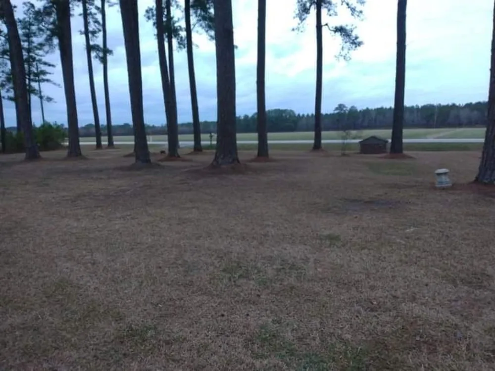 Professional lawn care service for residential properties across Washington, NC - Cameron hank landscaping yard clean up