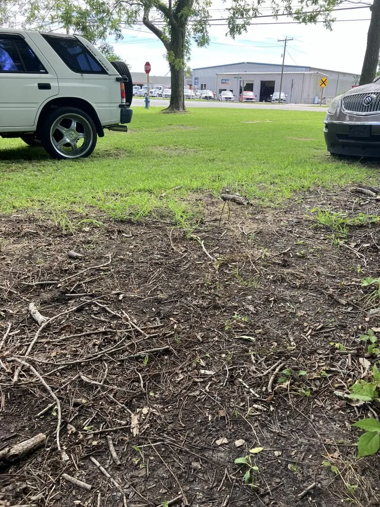 Professional residential landscaping for outdoor upgrades in Washington, NC by Cameron hank landscaping yard clean up