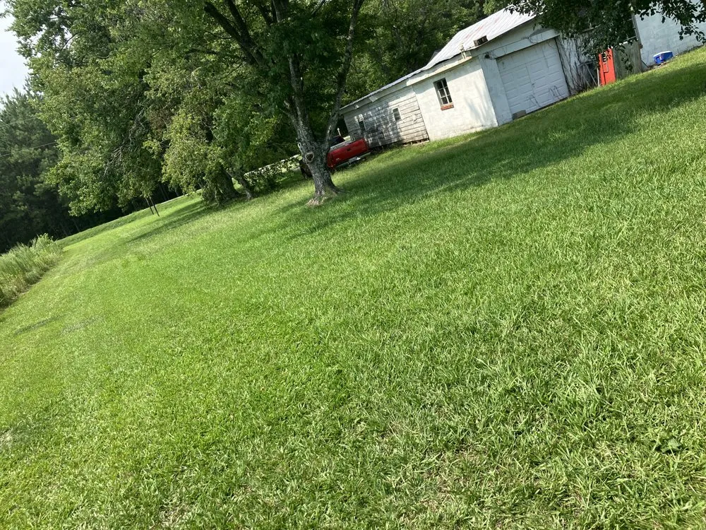 Trusted garden landscaping in Washington, NC - Cameron hank landscaping yard clean up