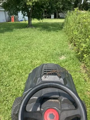 Cameron hank landscaping yard clean up