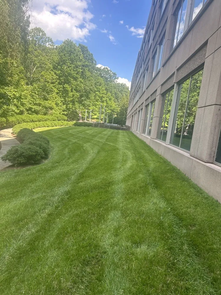 Expert outdoor landscaping in Sanford, NC - Cameron's Landscape & Lawn Care