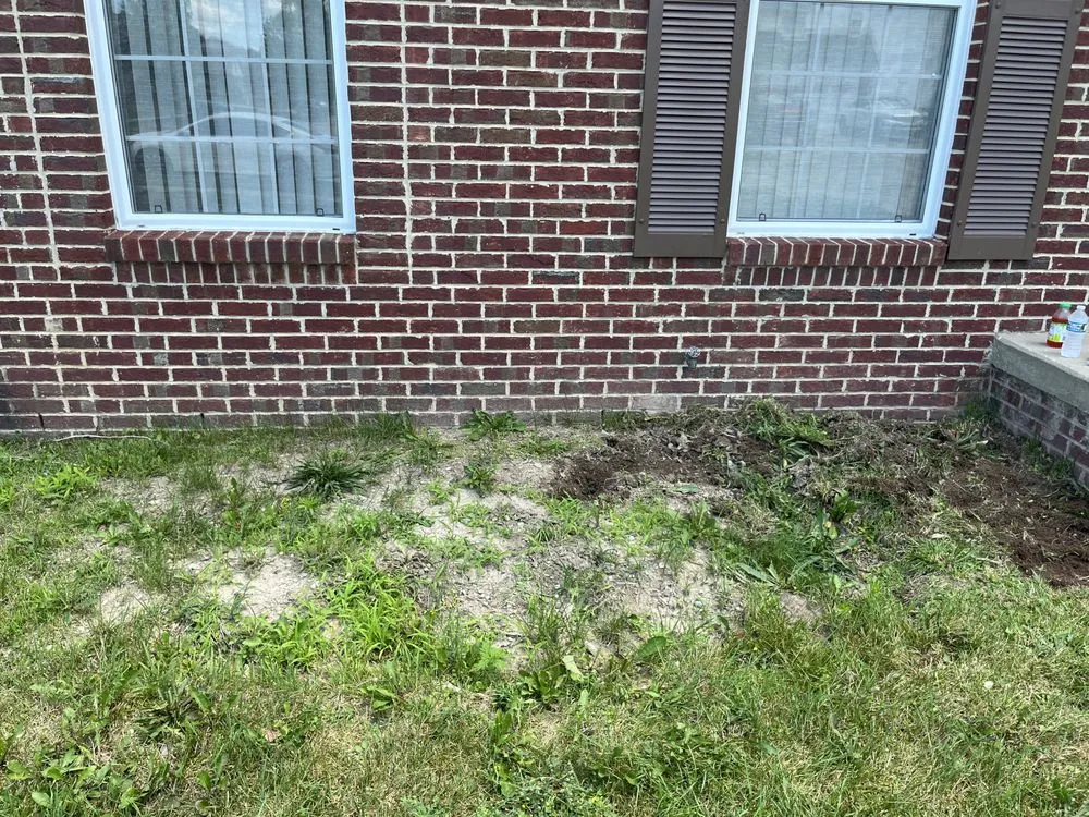 Custom yard maintenance in Ypsilanti, MI - Cameron’s Lawn Care & Auto Detailing