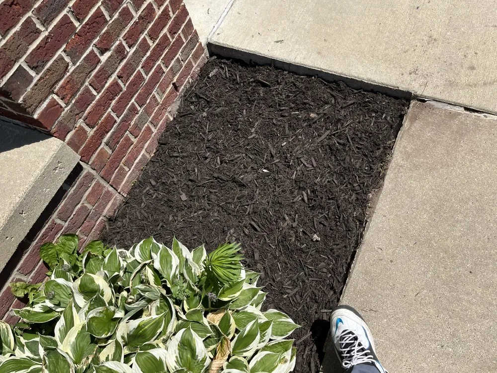 Trusted residential landscaping experts serving Ypsilanti, MI - Cameron’s Lawn Care & Auto Detailing