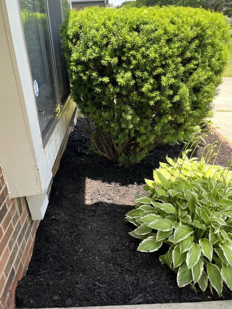 Top-rated yard maintenance in Ypsilanti, MI by Cameron’s Lawn Care & Auto Detailing