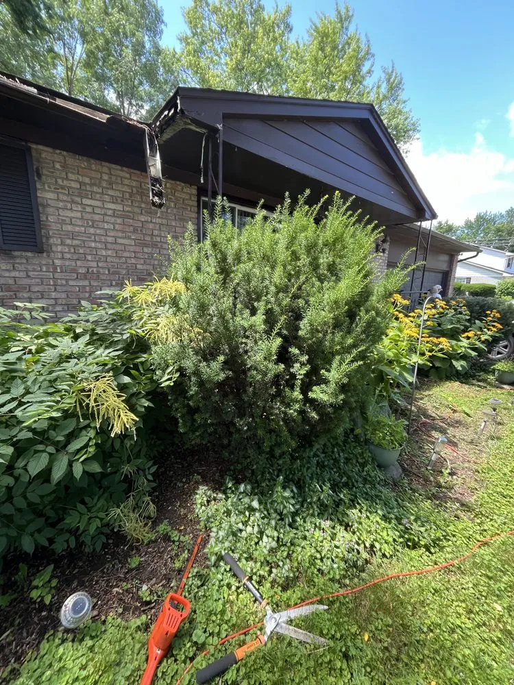 Expert garden landscaping in Ypsilanti, MI - Cameron’s Lawn Care & Auto Detailing