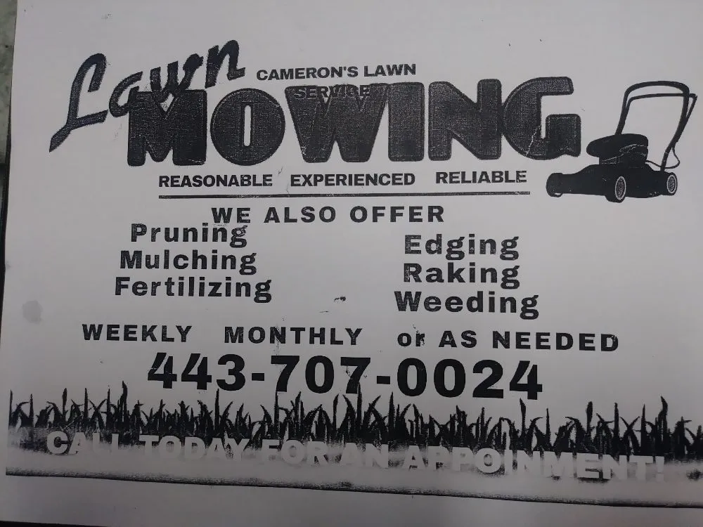 Reliable yard maintenance in Dundalk, MD by Cameron's Lawn service