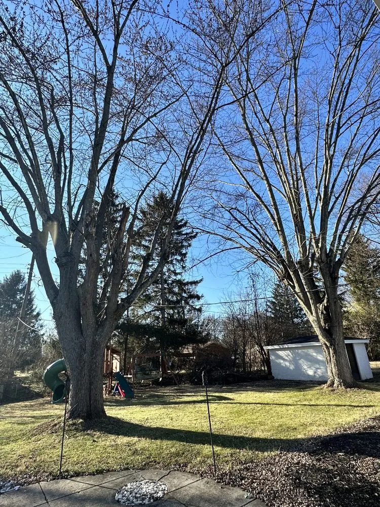 Affordable outdoor landscaping in Dayton, OH - Cameron’s Lawnscaping Service