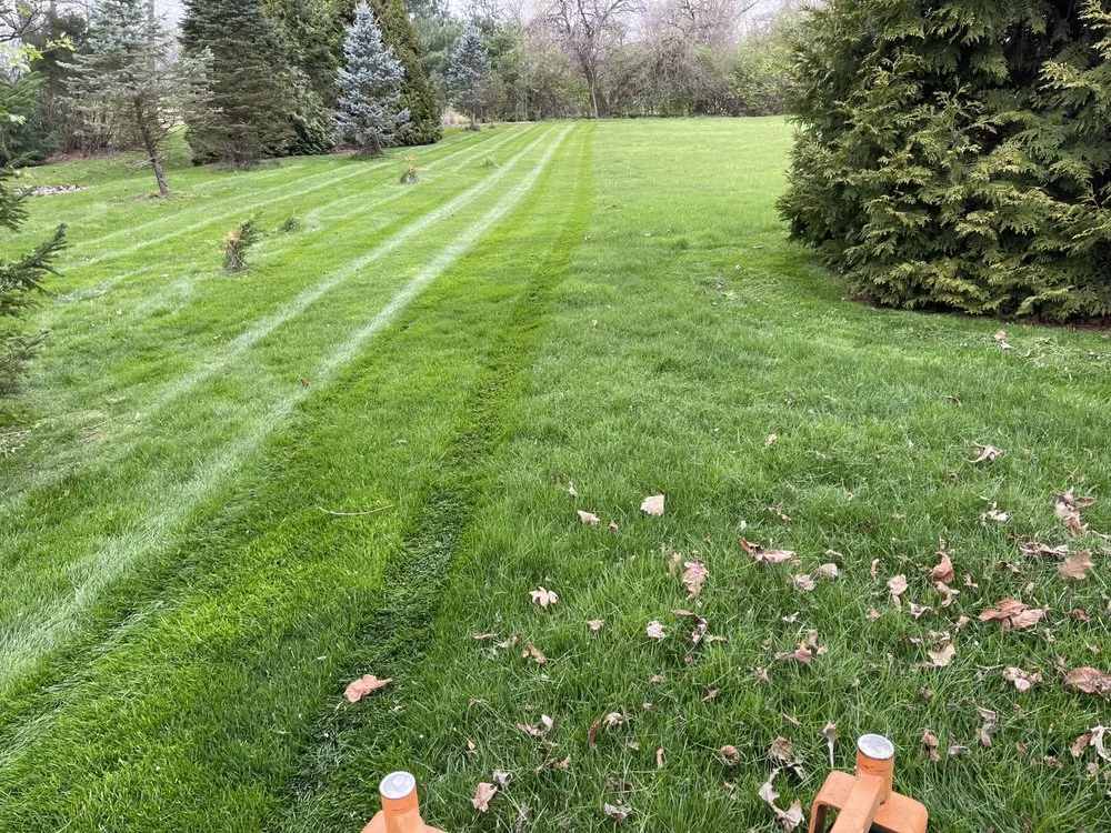 Affordable lawn care service in Dayton, OH - Cameron’s Lawnscaping Service