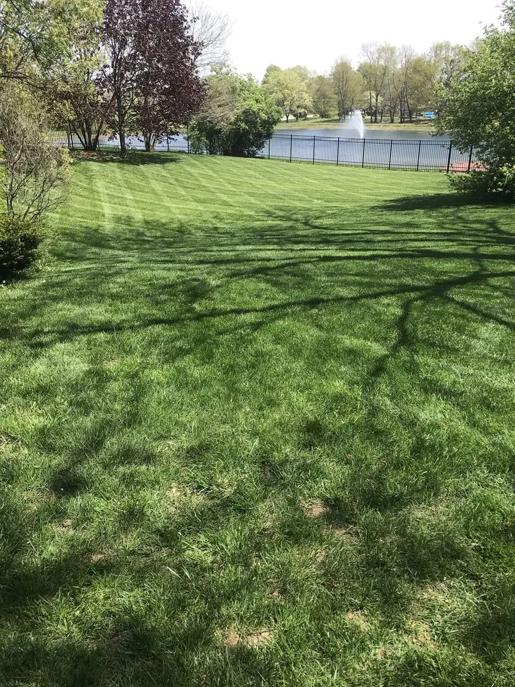 Professional garden landscaping for beautiful yards across Dayton, OH - Cameron’s Lawnscaping Service