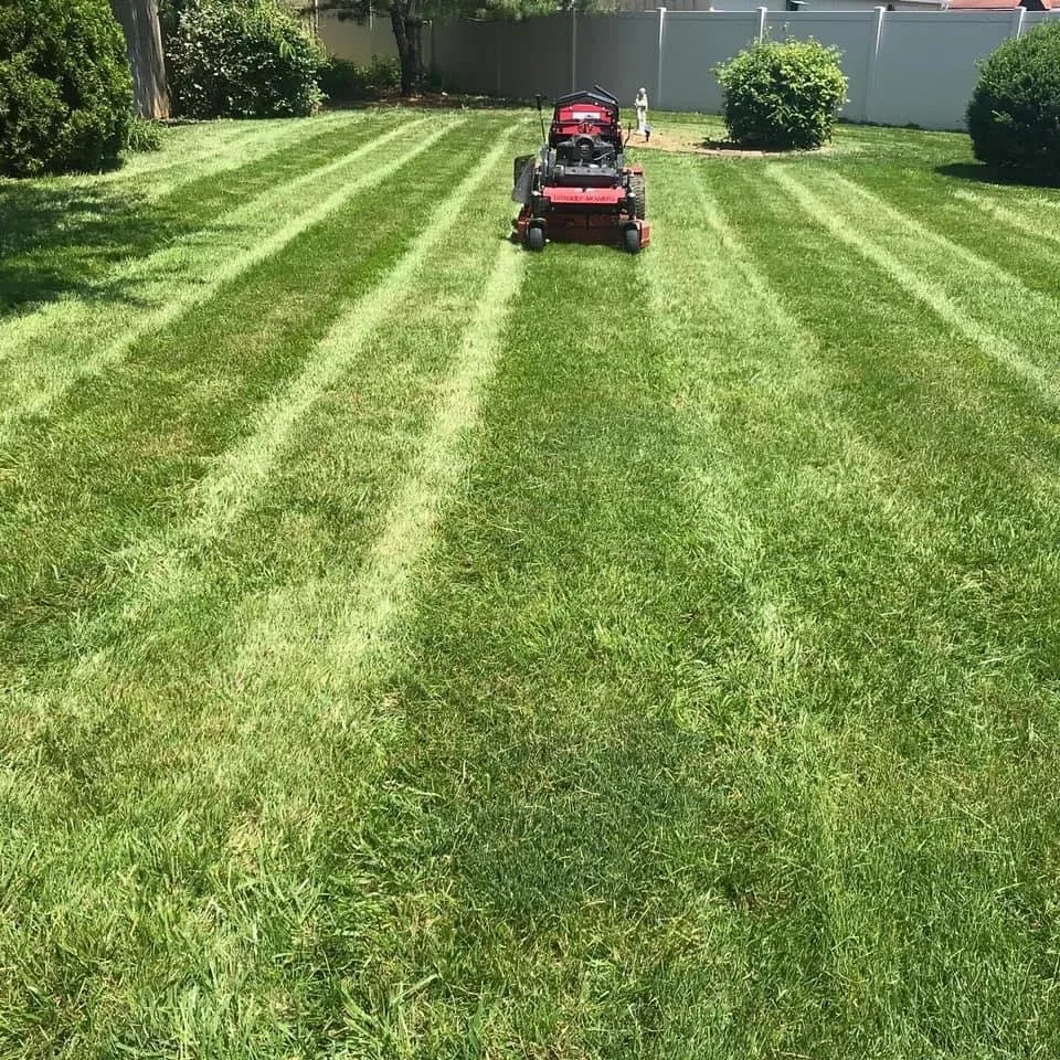 Expert residential landscaping near you across Dayton, OH - Cameron’s Lawnscaping Service