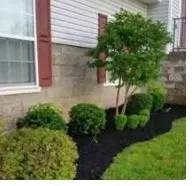 Custom lawn care service for beautiful yards across Clarksville, TN - Cameron's Mowing Plus