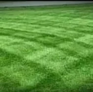 Local outdoor landscaping in Clarksville, TN - Cameron's Mowing Plus