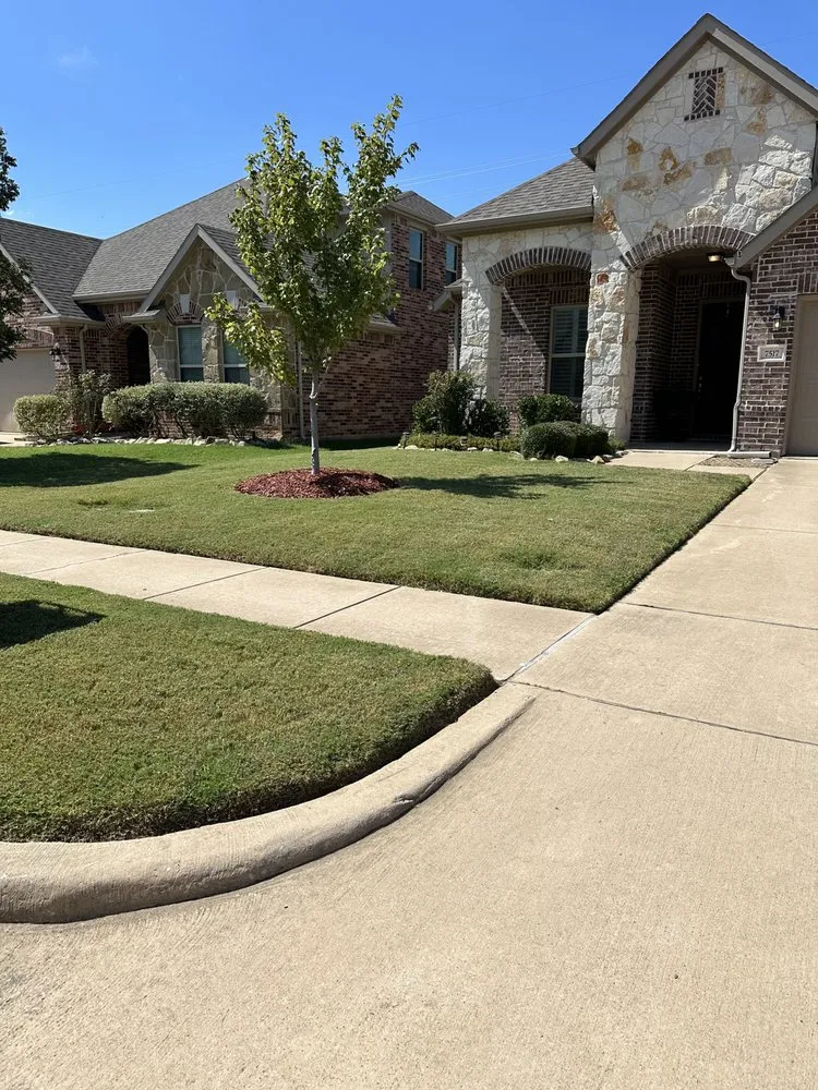 Professional yard maintenance in Little Elm, TX by Camero’s Lawncare