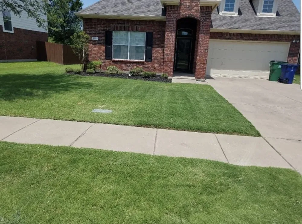 Expert yard maintenance in Little Elm, TX - Camero’s Lawncare