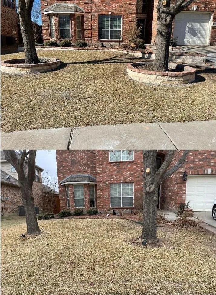 Reliable landscape design near you across Little Elm, TX - Camero’s Lawncare