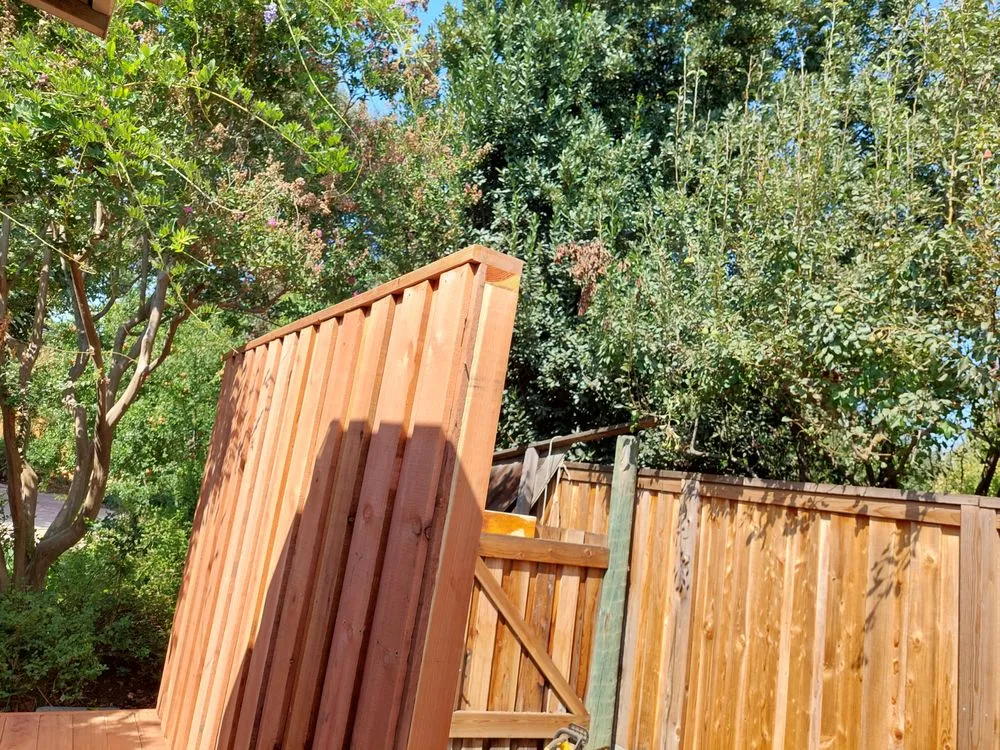 Trusted yard maintenance in Rancho Cordova, CA by Camilas Landscape