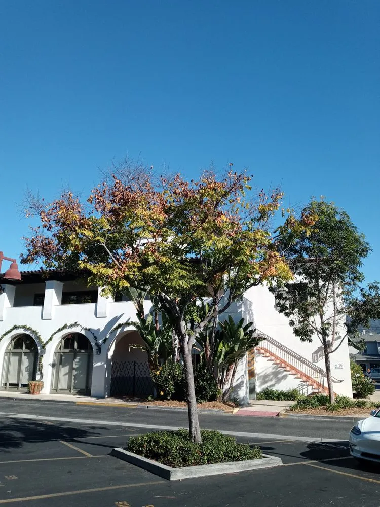 Professional lawn mowing service for residential properties across Rancho Cordova, CA - Camilas Landscape