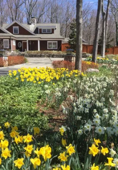 Custom landscape design in Brewster, NY - Camilla Landscape Design