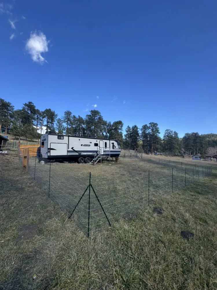 Expert yard cleanup service in Denver, CO - Camilleri Solutions