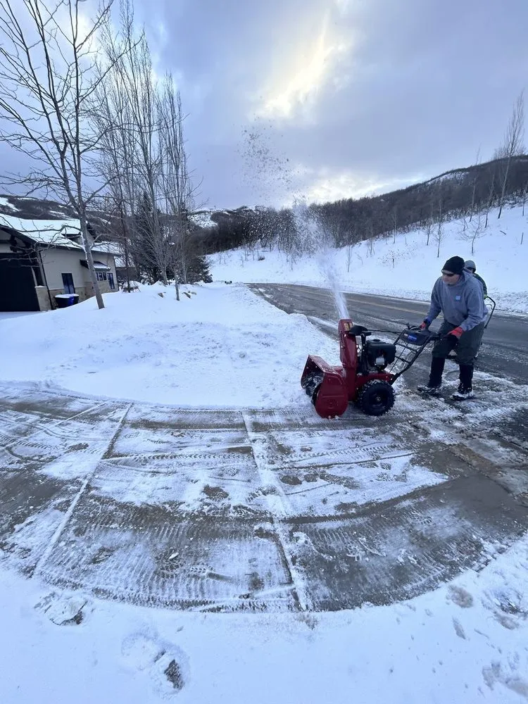 Professional outdoor landscaping in Denver, CO by Camilleri Solutions