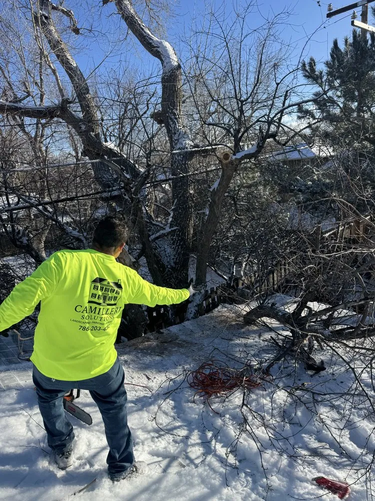 Affordable yard cleanup service for homes in Denver, CO by Camilleri Solutions