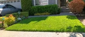 Expert yard maintenance for outdoor upgrades in Mukilteo, WA by Camilo Landscaping