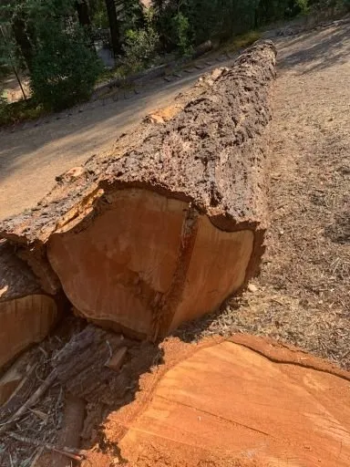 Local outdoor landscaping with custom design in Fairfield, CA by Camilo Tree Service