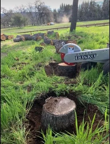 Professional garden landscaping experts serving Fairfield, CA - Camilo Tree Service