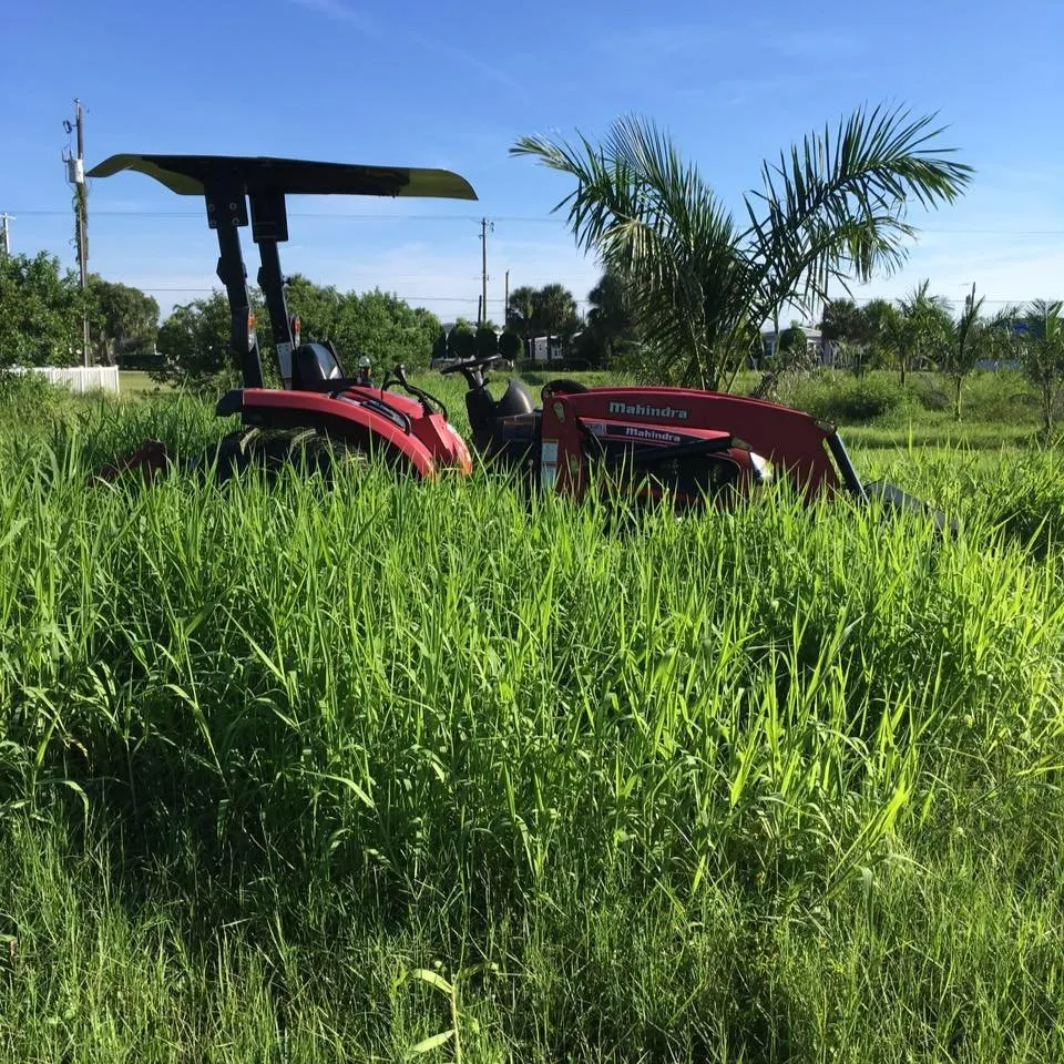 Professional landscape design experts serving Parrish, FL - Camp David Bush Hog Service