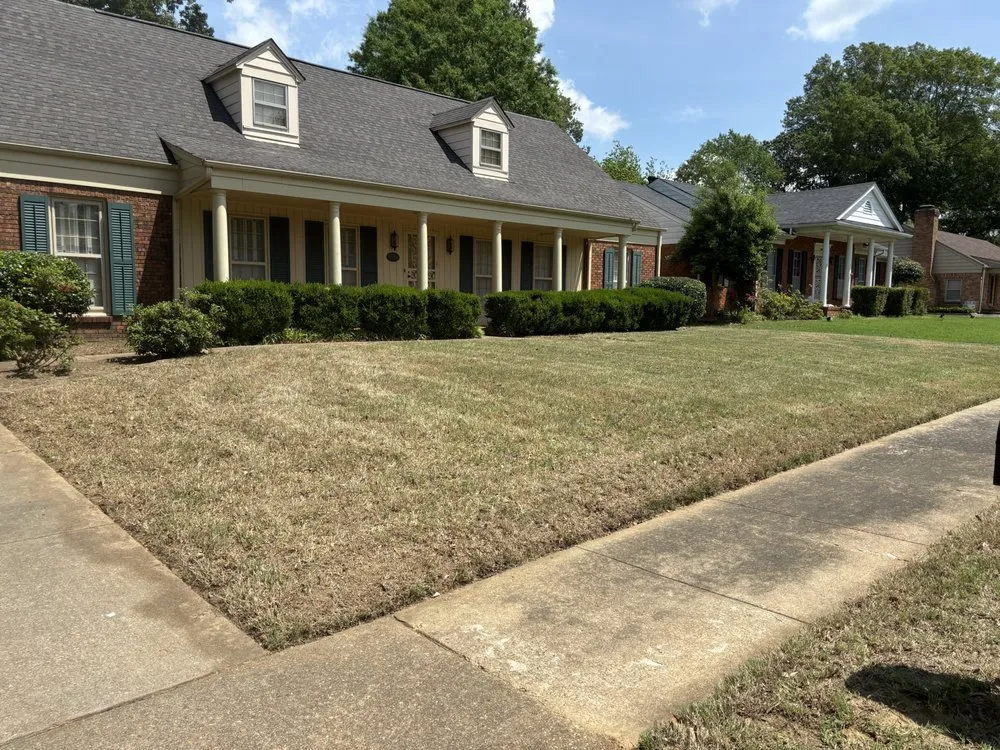 Affordable yard cleanup service in Bartlett, TN - Camp Landscaping