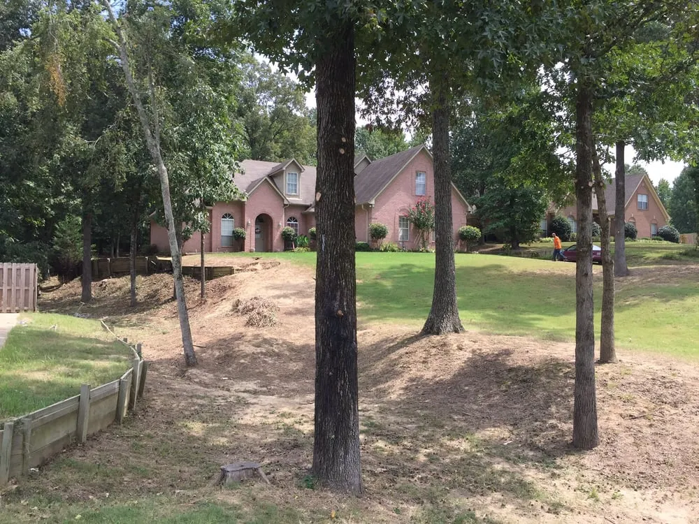 Top-rated lawn mowing service with custom design across Bartlett, TN - Camp Landscaping