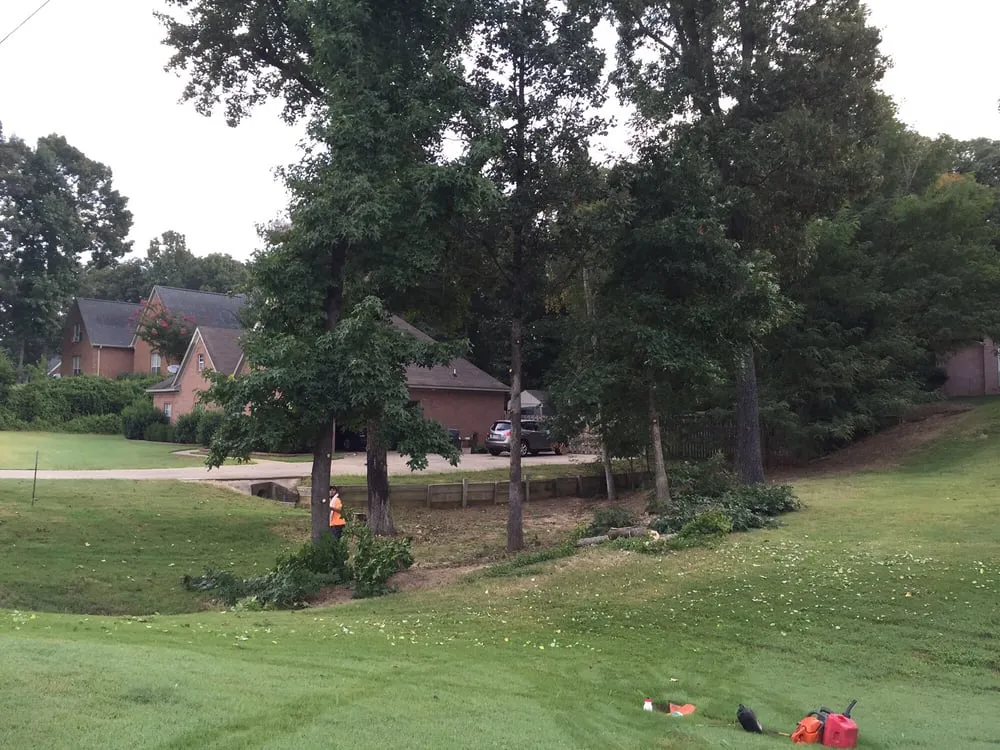 Local landscaping services for homes in Bartlett, TN by Camp Landscaping