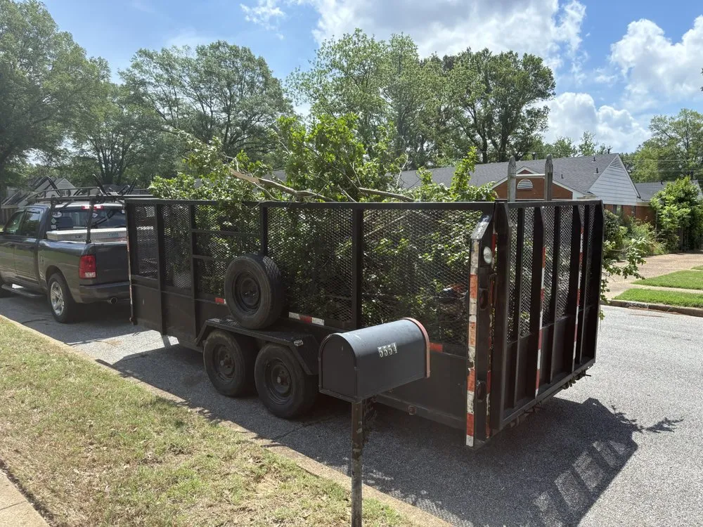 Professional lawn care service experts serving Bartlett, TN - Camp Landscaping