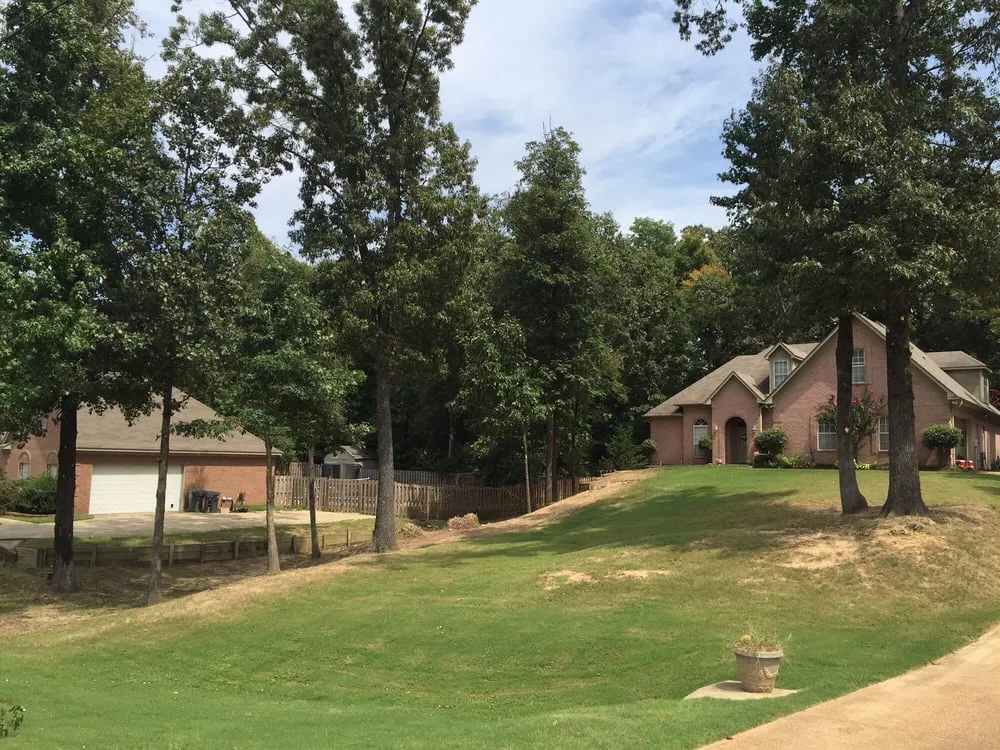 Expert landscape design in Hernando, MS - Camp Lawn Care, Landscaping, & Tree Services