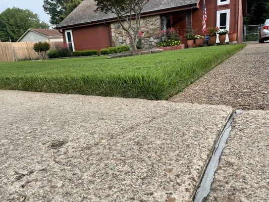 Camp Lawn Care, Landscaping, & Tree Services