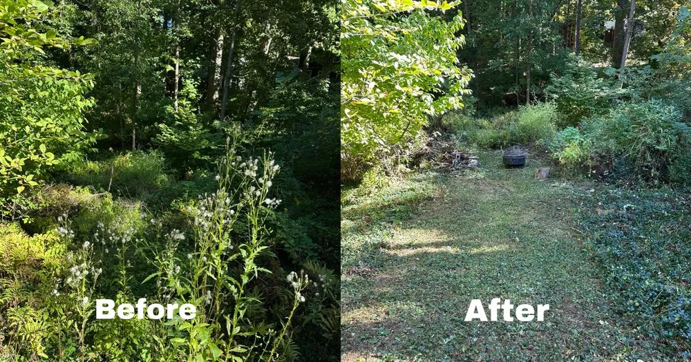 Reliable yard cleanup service in Rochester, NY by Camp Property Services