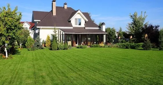 Affordable yard cleanup service experts serving Dubuque, IA - Campa Home Services