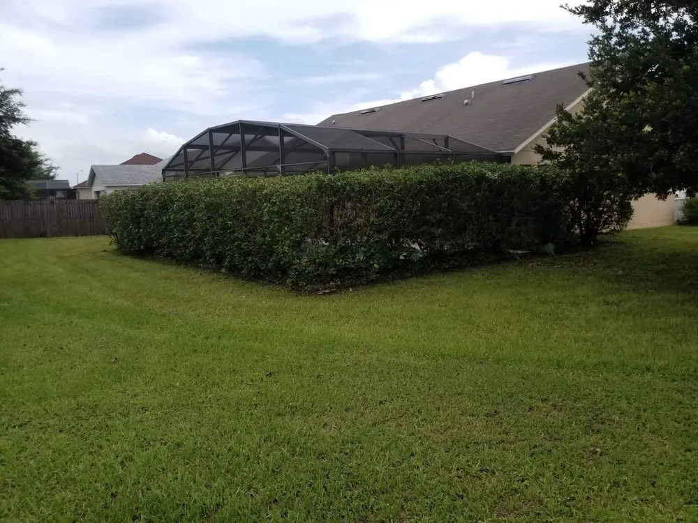 Professional lawn mowing service experts serving Saint Cloud, FL - Campaign Elite Services