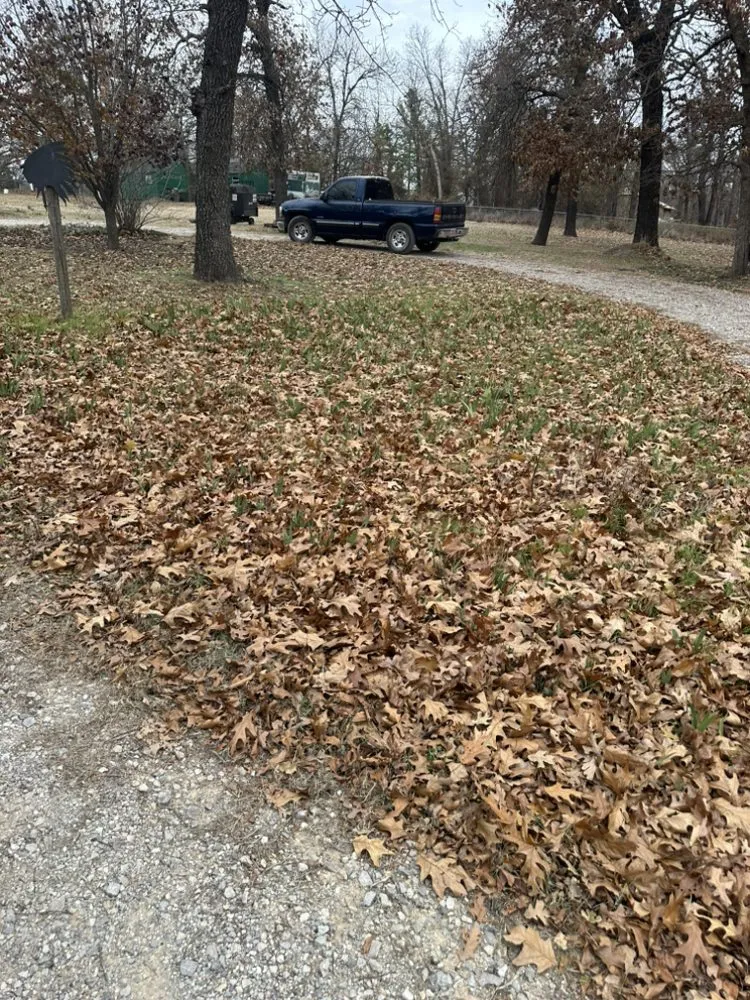 Trusted yard cleanup service experts serving Oklahoma City, OK - Campbell & Sons Lawn Services