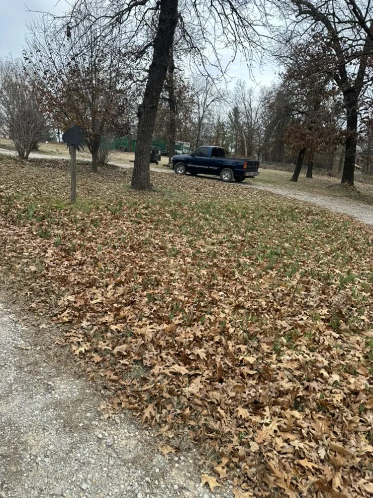 Top-rated landscaping services experts serving Oklahoma City, OK - Campbell & Sons Lawn Services