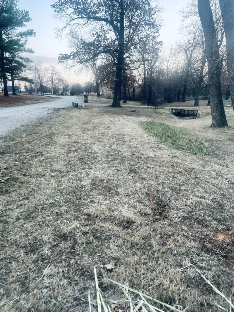 Custom yard cleanup service in Oklahoma City, OK by Campbell & Sons Lawn Services