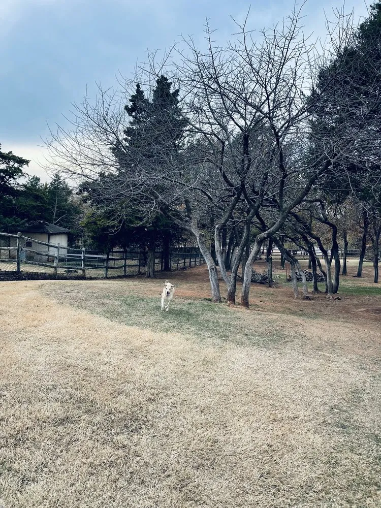 Custom yard cleanup service in Oklahoma City, OK by Campbell & Sons Lawn Services