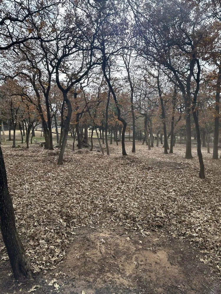 Custom landscape design for year-round maintenance in Oklahoma City, OK by Campbell & Sons Lawn Services