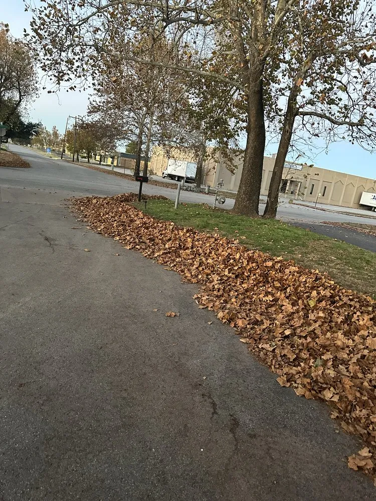 Reliable lawn care service experts serving Oklahoma City, OK - Campbell & Sons Lawn Services