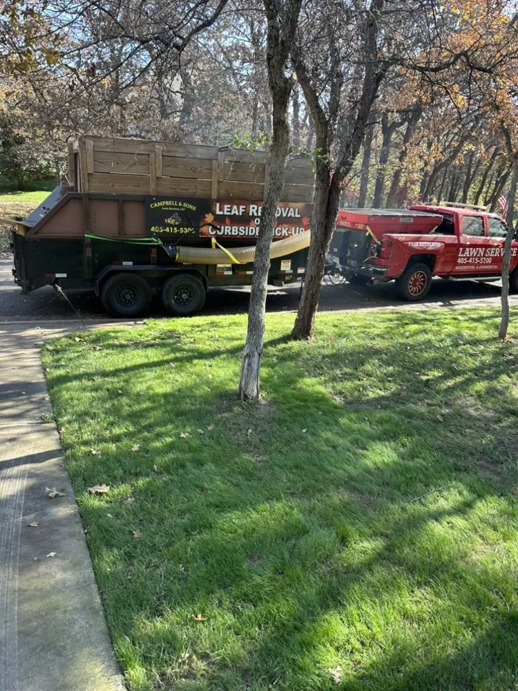 Custom landscape installation for year-round maintenance in Oklahoma City, OK by Campbell & Sons Lawn Services