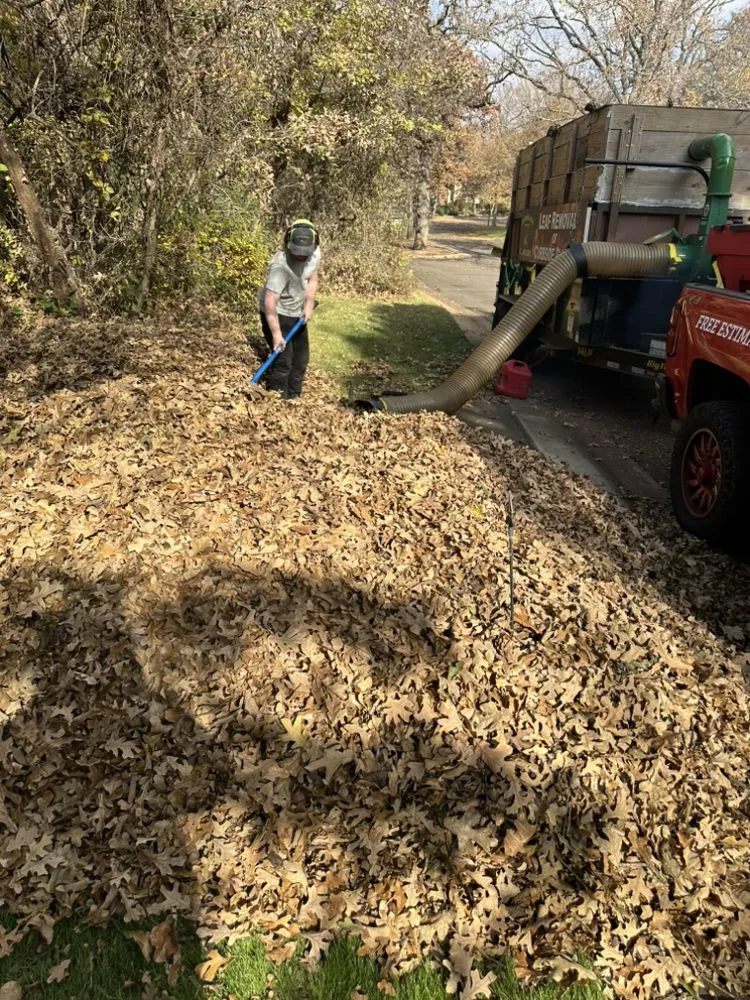 Affordable lawn care service in Oklahoma City, OK by Campbell & Sons Lawn Services