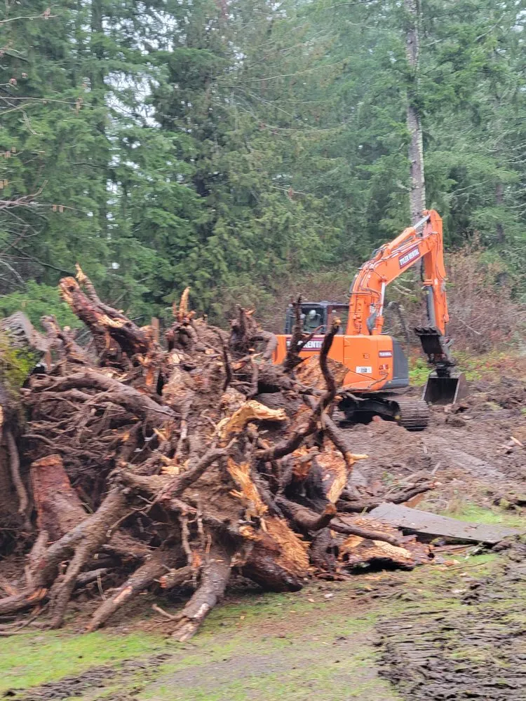 Expert residential landscaping for outdoor upgrades across Graham, WA - Campbell Excavating